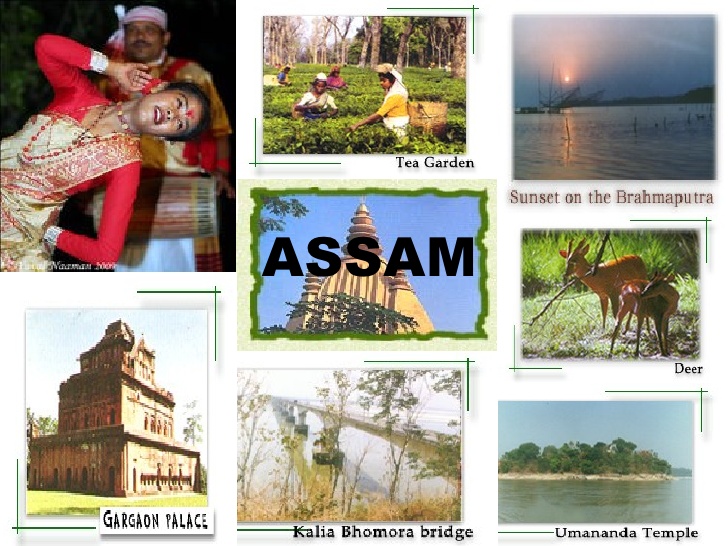 assam tourism policy 2008